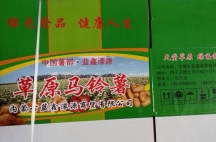 服务项目