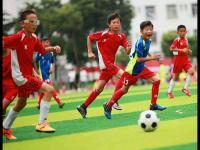 意大利vs比利时直播_意大利vs比利时赛程_高清意大利vs比利时比赛免费直播无插件